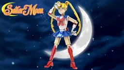Sailor Moon Figure