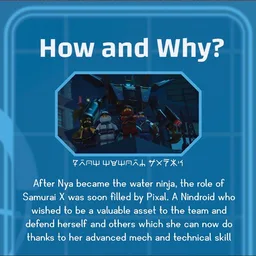 Samurai X: Dual Pack