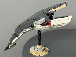 31381 Fin whale