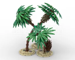 Plants and Trees Collection: Palm Trees