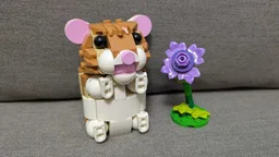 Surprised Hamster