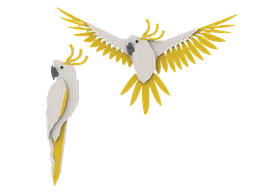 Sulphur-Crested Cockatoos: The Fauna Collection