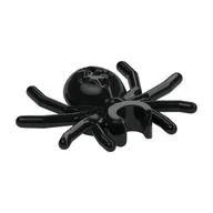 Insect, Spider