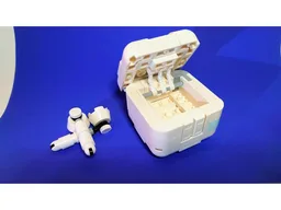 Wireless Earbuds and Case