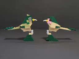 31121 Birds