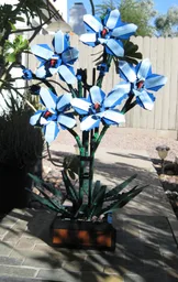 Blue Cymbidium (BT022)