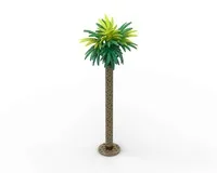 Palm Tree
