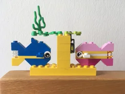 Blue & yellow fish