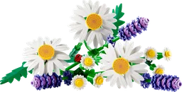 Daisies