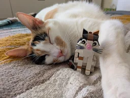Kitty Cat