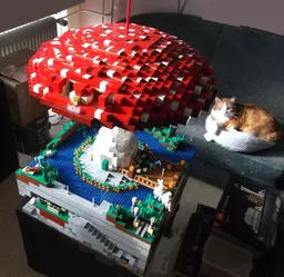 Mushroom Home Base