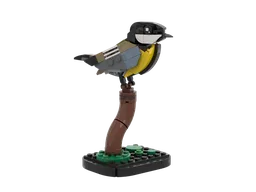 Great tit