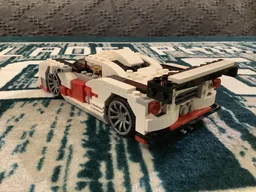 31006 Endurance racer