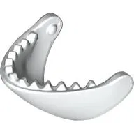Animal Body Part, Whale, Jaw / White
