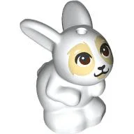 Animal, Rabbit / Bunny Sitting with Dark Brown Eyes, Tan Face Print / White