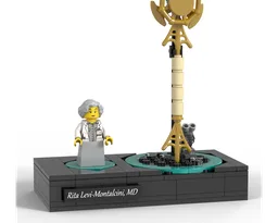 Rita Levi-Montalcini and neuron
