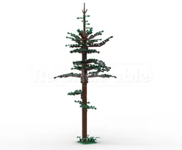 Pine Forest Tree