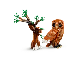 Forest Animals: Red Fox