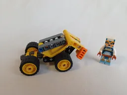 Small Buggy 30433-1B