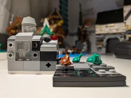 The frog cloning facility!