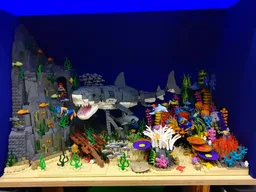 Great White Shark