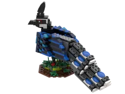 Palawan peacock pheasant revised