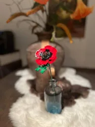 Poppy
