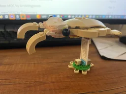Anomalocaridid