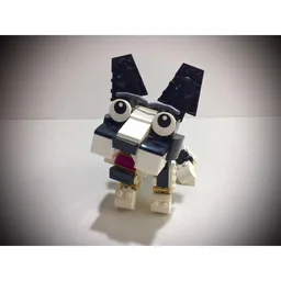 Boston Terrier
