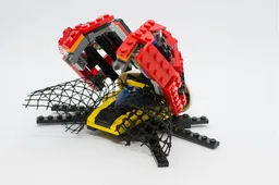 Ladybug