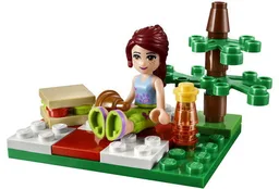 Summer Picnic