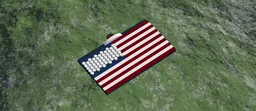 USA FLAG