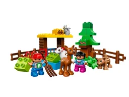 Forest: Animals