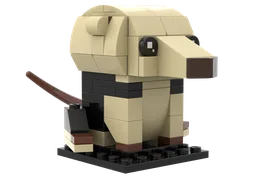 Collared Anteater (Tamandua tetradactyla): Zooheadz