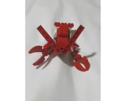Sea Turtle and Lobster
