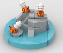 Hermit Crab Habitat