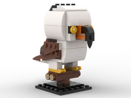 Black and White Hawk Eagle: Birdheadz