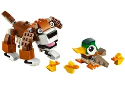 Park Animals