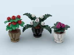 Potted Perennials