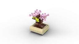 Lovely Bonsai Tree