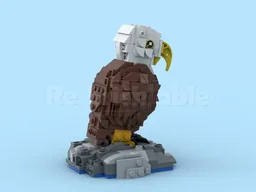 Bald eagle