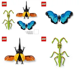The Insect Collection