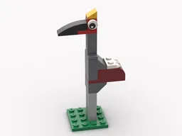 Black Crowned Crane