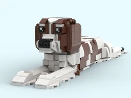 Cavalier King Charles Spaniel