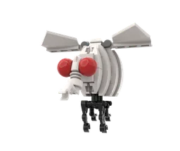 09 Drosophila melanogaster
