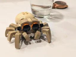 Cute little spider