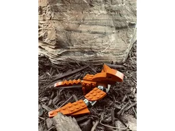 A Dragon