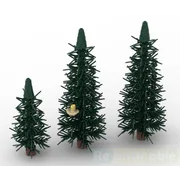 Snow capped pine trees
