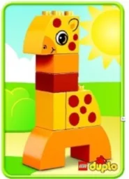 Creative Animals