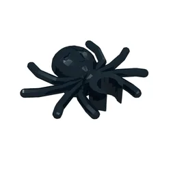 Insect, Spider / Black